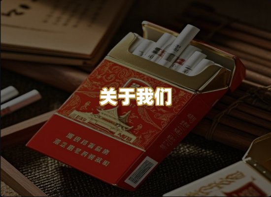 关于我们